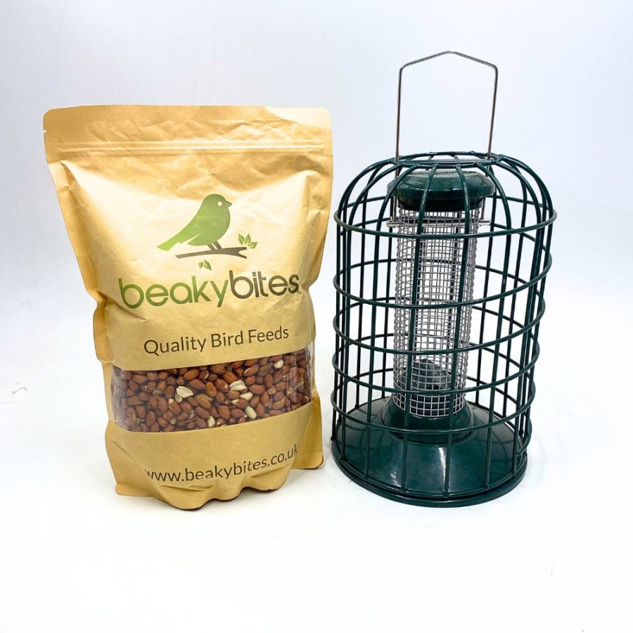 Premium Guardian Feeder and Peanuts for Birds